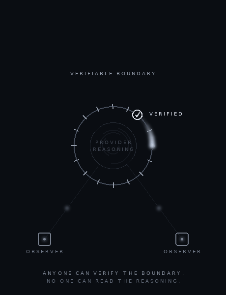 DCV visualization showing an externally verifiable artifact with provider-internal reasoning concealed.