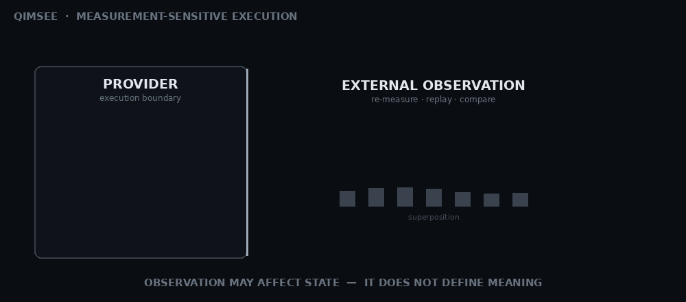 QIMSEE flow diagram showing provider assertions remaining fixed while external observation, re-measurement, replay, comparison, and reconciliation are constrained from defining meaning.